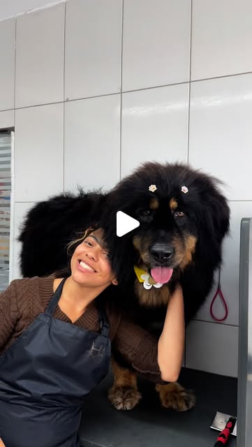 Exemplo do formato Narrado, nicho Petshop